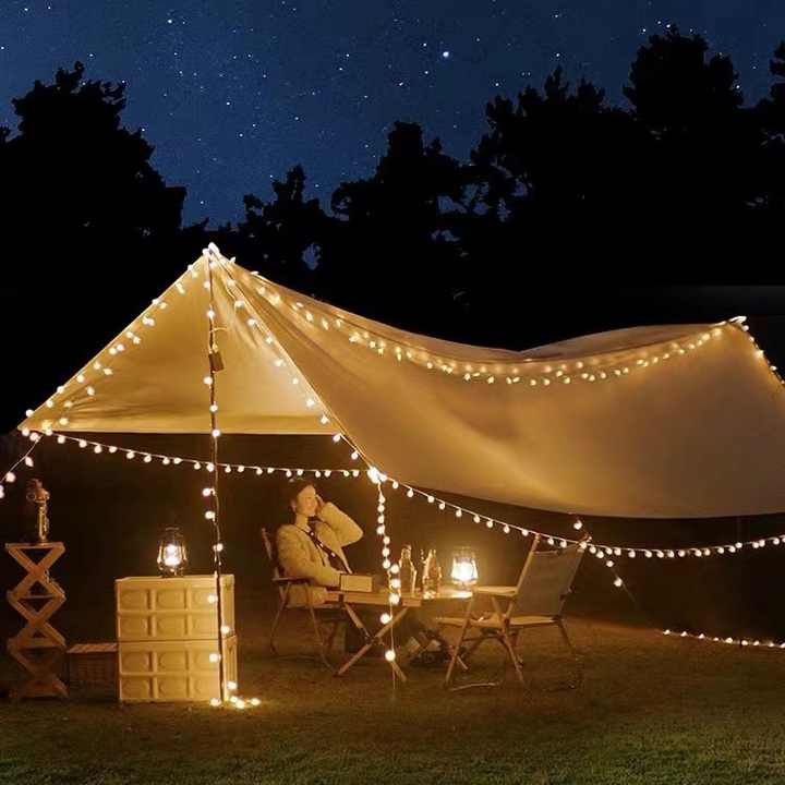 LED Festoon String Lights