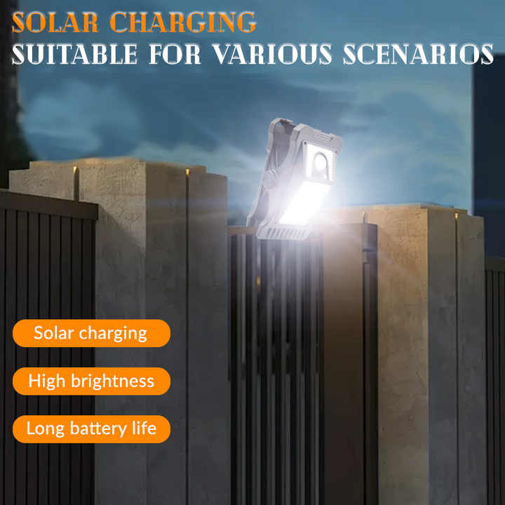 Solar Motion Wall Clip Light