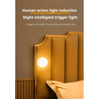Smart night light on bedside, automatic activation in darkness