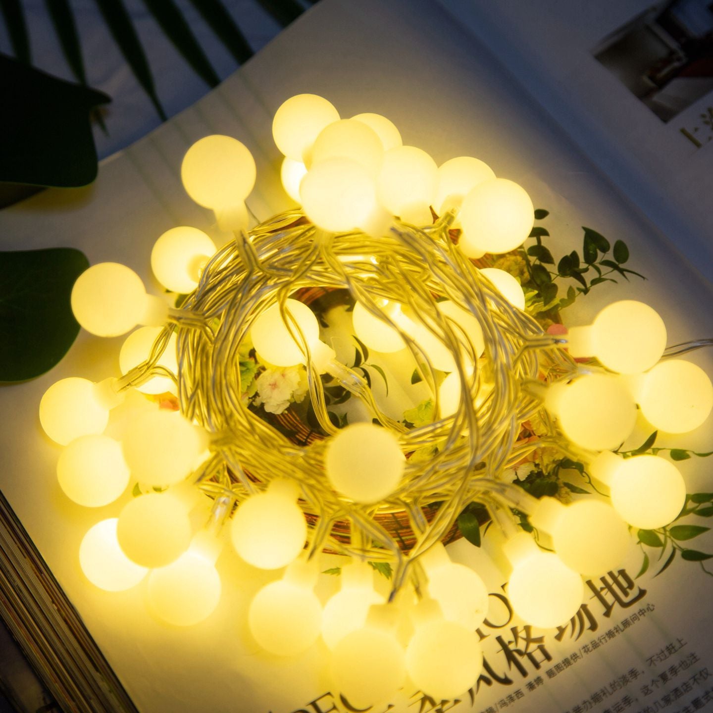 Frosted Ball LED String Lights