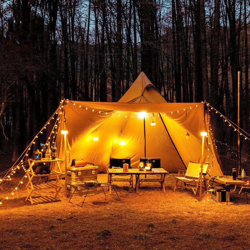Frosted Ball LED String Lights