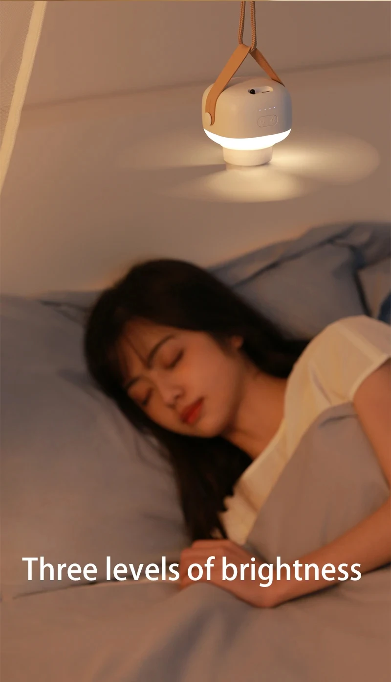 Rechargeable Camping Fan with LED Light & Remote