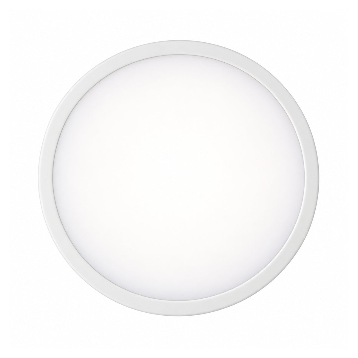 22cm white slim round LED ceiling light, lit, straight on