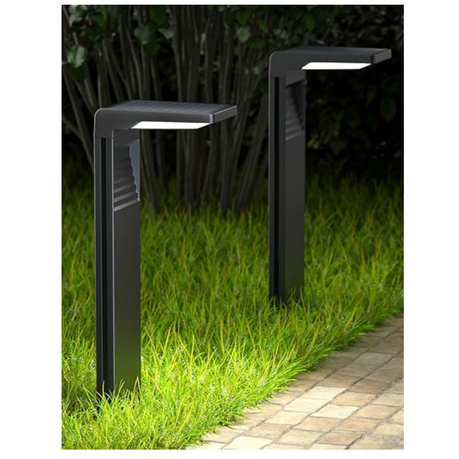 2 Dual Color LED Solar Garden Light