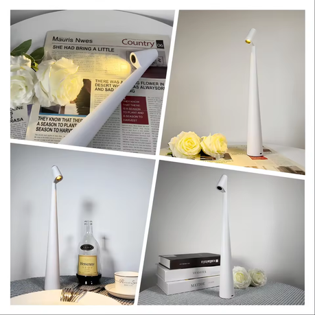 Nordic Decorative LED Lamp