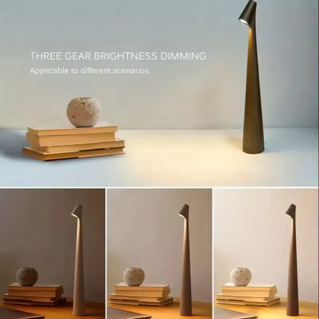 Nordic Decorative LED Lamp