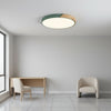Green Ceiling Light - Feature